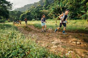 BIB: 
                            <button type="button" onclick="openModal(26029639)" class="btn btn-primary btn-sm float-right btn-popup" data-toggle="modal" data-target=".modal-high-quality">
                        <i class="fas fa-shopping-cart"></i> Add to Cart
                    </button>
                                            <button type="button" onclick="isThisMe(26029639, true)" class="btn btn-success btn-sm float-right btn-popup btn-isme hidden" data-toggle="tooltip" data-placement="bottom" title="นี่คือรูปของคุณใช่ไหม คลิกที่นี่เพื่อเอาเข้าอัลบั้ม">
                        <i class="fas fa-plus"></i> Add to album
                    </button>
                    <button type="button" onclick="isThisMe(26029639, false)" class="btn btn-warning btn-sm float-right btn-popup btn-isnotme hidden">
                        <i class="fas fa-ban"></i> Remove from album
                    </button>