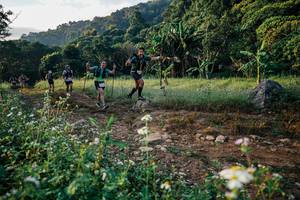 BIB: 
                            <button type="button" onclick="openModal(25993948)" class="btn btn-primary btn-sm float-right btn-popup" data-toggle="modal" data-target=".modal-high-quality">
                        <i class="fas fa-shopping-cart"></i> Add to Cart
                    </button>
                                            <button type="button" onclick="isThisMe(25993948, true)" class="btn btn-success btn-sm float-right btn-popup btn-isme hidden" data-toggle="tooltip" data-placement="bottom" title="นี่คือรูปของคุณใช่ไหม คลิกที่นี่เพื่อเอาเข้าอัลบั้ม">
                        <i class="fas fa-plus"></i> Add to album
                    </button>
                    <button type="button" onclick="isThisMe(25993948, false)" class="btn btn-warning btn-sm float-right btn-popup btn-isnotme hidden">
                        <i class="fas fa-ban"></i> Remove from album
                    </button>