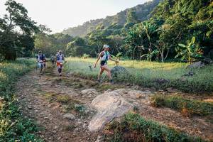 BIB: 
                            <button type="button" onclick="openModal(25897513)" class="btn btn-primary btn-sm float-right btn-popup" data-toggle="modal" data-target=".modal-high-quality">
                        <i class="fas fa-shopping-cart"></i> Add to Cart
                    </button>
                                            <button type="button" onclick="isThisMe(25897513, true)" class="btn btn-success btn-sm float-right btn-popup btn-isme hidden" data-toggle="tooltip" data-placement="bottom" title="นี่คือรูปของคุณใช่ไหม คลิกที่นี่เพื่อเอาเข้าอัลบั้ม">
                        <i class="fas fa-plus"></i> Add to album
                    </button>
                    <button type="button" onclick="isThisMe(25897513, false)" class="btn btn-warning btn-sm float-right btn-popup btn-isnotme hidden">
                        <i class="fas fa-ban"></i> Remove from album
                    </button>