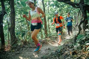 BIB: 
                            <button type="button" onclick="openModal(26125766)" class="btn btn-primary btn-sm float-right btn-popup" data-toggle="modal" data-target=".modal-high-quality">
                        <i class="fas fa-shopping-cart"></i> Add to Cart
                    </button>
                                            <button type="button" onclick="isThisMe(26125766, true)" class="btn btn-success btn-sm float-right btn-popup btn-isme hidden" data-toggle="tooltip" data-placement="bottom" title="นี่คือรูปของคุณใช่ไหม คลิกที่นี่เพื่อเอาเข้าอัลบั้ม">
                        <i class="fas fa-plus"></i> Add to album
                    </button>
                    <button type="button" onclick="isThisMe(26125766, false)" class="btn btn-warning btn-sm float-right btn-popup btn-isnotme hidden">
                        <i class="fas fa-ban"></i> Remove from album
                    </button>