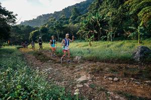 BIB: 
                            <button type="button" onclick="openModal(26008633)" class="btn btn-primary btn-sm float-right btn-popup" data-toggle="modal" data-target=".modal-high-quality">
                        <i class="fas fa-shopping-cart"></i> Add to Cart
                    </button>
                                            <button type="button" onclick="isThisMe(26008633, true)" class="btn btn-success btn-sm float-right btn-popup btn-isme hidden" data-toggle="tooltip" data-placement="bottom" title="นี่คือรูปของคุณใช่ไหม คลิกที่นี่เพื่อเอาเข้าอัลบั้ม">
                        <i class="fas fa-plus"></i> Add to album
                    </button>
                    <button type="button" onclick="isThisMe(26008633, false)" class="btn btn-warning btn-sm float-right btn-popup btn-isnotme hidden">
                        <i class="fas fa-ban"></i> Remove from album
                    </button>