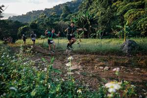 BIB: 
                            <button type="button" onclick="openModal(25993972)" class="btn btn-primary btn-sm float-right btn-popup" data-toggle="modal" data-target=".modal-high-quality">
                        <i class="fas fa-shopping-cart"></i> Add to Cart
                    </button>
                                            <button type="button" onclick="isThisMe(25993972, true)" class="btn btn-success btn-sm float-right btn-popup btn-isme hidden" data-toggle="tooltip" data-placement="bottom" title="นี่คือรูปของคุณใช่ไหม คลิกที่นี่เพื่อเอาเข้าอัลบั้ม">
                        <i class="fas fa-plus"></i> Add to album
                    </button>
                    <button type="button" onclick="isThisMe(25993972, false)" class="btn btn-warning btn-sm float-right btn-popup btn-isnotme hidden">
                        <i class="fas fa-ban"></i> Remove from album
                    </button>