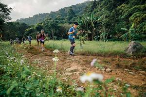 BIB: 
                            <button type="button" onclick="openModal(26030036)" class="btn btn-primary btn-sm float-right btn-popup" data-toggle="modal" data-target=".modal-high-quality">
                        <i class="fas fa-shopping-cart"></i> Add to Cart
                    </button>
                                            <button type="button" onclick="isThisMe(26030036, true)" class="btn btn-success btn-sm float-right btn-popup btn-isme hidden" data-toggle="tooltip" data-placement="bottom" title="นี่คือรูปของคุณใช่ไหม คลิกที่นี่เพื่อเอาเข้าอัลบั้ม">
                        <i class="fas fa-plus"></i> Add to album
                    </button>
                    <button type="button" onclick="isThisMe(26030036, false)" class="btn btn-warning btn-sm float-right btn-popup btn-isnotme hidden">
                        <i class="fas fa-ban"></i> Remove from album
                    </button>