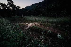 BIB: 
                            <button type="button" onclick="openModal(25757506)" class="btn btn-primary btn-sm float-right btn-popup" data-toggle="modal" data-target=".modal-high-quality">
                        <i class="fas fa-shopping-cart"></i> Add to Cart
                    </button>
                                            <button type="button" onclick="isThisMe(25757506, true)" class="btn btn-success btn-sm float-right btn-popup btn-isme hidden" data-toggle="tooltip" data-placement="bottom" title="นี่คือรูปของคุณใช่ไหม คลิกที่นี่เพื่อเอาเข้าอัลบั้ม">
                        <i class="fas fa-plus"></i> Add to album
                    </button>
                    <button type="button" onclick="isThisMe(25757506, false)" class="btn btn-warning btn-sm float-right btn-popup btn-isnotme hidden">
                        <i class="fas fa-ban"></i> Remove from album
                    </button>