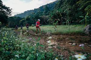 BIB: 
                            <button type="button" onclick="openModal(26007380)" class="btn btn-primary btn-sm float-right btn-popup" data-toggle="modal" data-target=".modal-high-quality">
                        <i class="fas fa-shopping-cart"></i> Add to Cart
                    </button>
                                            <button type="button" onclick="isThisMe(26007380, true)" class="btn btn-success btn-sm float-right btn-popup btn-isme hidden" data-toggle="tooltip" data-placement="bottom" title="นี่คือรูปของคุณใช่ไหม คลิกที่นี่เพื่อเอาเข้าอัลบั้ม">
                        <i class="fas fa-plus"></i> Add to album
                    </button>
                    <button type="button" onclick="isThisMe(26007380, false)" class="btn btn-warning btn-sm float-right btn-popup btn-isnotme hidden">
                        <i class="fas fa-ban"></i> Remove from album
                    </button>