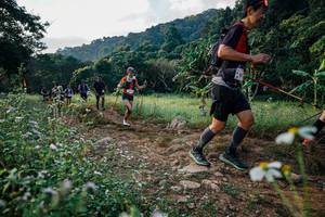 BIB: 
                            <button type="button" onclick="openModal(26009279)" class="btn btn-primary btn-sm float-right btn-popup" data-toggle="modal" data-target=".modal-high-quality">
                        <i class="fas fa-shopping-cart"></i> Add to Cart
                    </button>
                                            <button type="button" onclick="isThisMe(26009279, true)" class="btn btn-success btn-sm float-right btn-popup btn-isme hidden" data-toggle="tooltip" data-placement="bottom" title="นี่คือรูปของคุณใช่ไหม คลิกที่นี่เพื่อเอาเข้าอัลบั้ม">
                        <i class="fas fa-plus"></i> Add to album
                    </button>
                    <button type="button" onclick="isThisMe(26009279, false)" class="btn btn-warning btn-sm float-right btn-popup btn-isnotme hidden">
                        <i class="fas fa-ban"></i> Remove from album
                    </button>