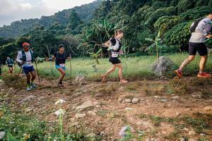 BIB: 
                            <button type="button" onclick="openModal(26028745)" class="btn btn-primary btn-sm float-right btn-popup" data-toggle="modal" data-target=".modal-high-quality">
                        <i class="fas fa-shopping-cart"></i> Add to Cart
                    </button>
                                            <button type="button" onclick="isThisMe(26028745, true)" class="btn btn-success btn-sm float-right btn-popup btn-isme hidden" data-toggle="tooltip" data-placement="bottom" title="นี่คือรูปของคุณใช่ไหม คลิกที่นี่เพื่อเอาเข้าอัลบั้ม">
                        <i class="fas fa-plus"></i> Add to album
                    </button>
                    <button type="button" onclick="isThisMe(26028745, false)" class="btn btn-warning btn-sm float-right btn-popup btn-isnotme hidden">
                        <i class="fas fa-ban"></i> Remove from album
                    </button>