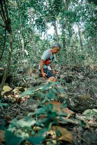 BIB: 
                            <button type="button" onclick="openModal(26127608)" class="btn btn-primary btn-sm float-right btn-popup" data-toggle="modal" data-target=".modal-high-quality">
                        <i class="fas fa-shopping-cart"></i> Add to Cart
                    </button>
                                            <button type="button" onclick="isThisMe(26127608, true)" class="btn btn-success btn-sm float-right btn-popup btn-isme hidden" data-toggle="tooltip" data-placement="bottom" title="นี่คือรูปของคุณใช่ไหม คลิกที่นี่เพื่อเอาเข้าอัลบั้ม">
                        <i class="fas fa-plus"></i> Add to album
                    </button>
                    <button type="button" onclick="isThisMe(26127608, false)" class="btn btn-warning btn-sm float-right btn-popup btn-isnotme hidden">
                        <i class="fas fa-ban"></i> Remove from album
                    </button>