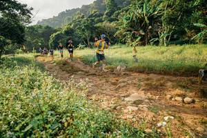 BIB: 
                            <button type="button" onclick="openModal(26029667)" class="btn btn-primary btn-sm float-right btn-popup" data-toggle="modal" data-target=".modal-high-quality">
                        <i class="fas fa-shopping-cart"></i> Add to Cart
                    </button>
                                            <button type="button" onclick="isThisMe(26029667, true)" class="btn btn-success btn-sm float-right btn-popup btn-isme hidden" data-toggle="tooltip" data-placement="bottom" title="นี่คือรูปของคุณใช่ไหม คลิกที่นี่เพื่อเอาเข้าอัลบั้ม">
                        <i class="fas fa-plus"></i> Add to album
                    </button>
                    <button type="button" onclick="isThisMe(26029667, false)" class="btn btn-warning btn-sm float-right btn-popup btn-isnotme hidden">
                        <i class="fas fa-ban"></i> Remove from album
                    </button>