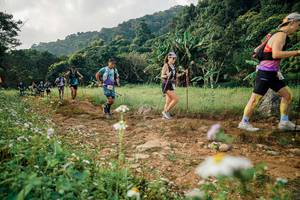 BIB: 
                            <button type="button" onclick="openModal(26030053)" class="btn btn-primary btn-sm float-right btn-popup" data-toggle="modal" data-target=".modal-high-quality">
                        <i class="fas fa-shopping-cart"></i> Add to Cart
                    </button>
                                            <button type="button" onclick="isThisMe(26030053, true)" class="btn btn-success btn-sm float-right btn-popup btn-isme hidden" data-toggle="tooltip" data-placement="bottom" title="นี่คือรูปของคุณใช่ไหม คลิกที่นี่เพื่อเอาเข้าอัลบั้ม">
                        <i class="fas fa-plus"></i> Add to album
                    </button>
                    <button type="button" onclick="isThisMe(26030053, false)" class="btn btn-warning btn-sm float-right btn-popup btn-isnotme hidden">
                        <i class="fas fa-ban"></i> Remove from album
                    </button>