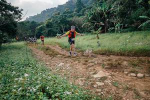 BIB: 
                            <button type="button" onclick="openModal(26028537)" class="btn btn-primary btn-sm float-right btn-popup" data-toggle="modal" data-target=".modal-high-quality">
                        <i class="fas fa-shopping-cart"></i> Add to Cart
                    </button>
                                            <button type="button" onclick="isThisMe(26028537, true)" class="btn btn-success btn-sm float-right btn-popup btn-isme hidden" data-toggle="tooltip" data-placement="bottom" title="นี่คือรูปของคุณใช่ไหม คลิกที่นี่เพื่อเอาเข้าอัลบั้ม">
                        <i class="fas fa-plus"></i> Add to album
                    </button>
                    <button type="button" onclick="isThisMe(26028537, false)" class="btn btn-warning btn-sm float-right btn-popup btn-isnotme hidden">
                        <i class="fas fa-ban"></i> Remove from album
                    </button>