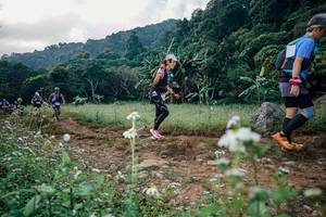 BIB: 
                            <button type="button" onclick="openModal(26027578)" class="btn btn-primary btn-sm float-right btn-popup" data-toggle="modal" data-target=".modal-high-quality">
                        <i class="fas fa-shopping-cart"></i> Add to Cart
                    </button>
                                            <button type="button" onclick="isThisMe(26027578, true)" class="btn btn-success btn-sm float-right btn-popup btn-isme hidden" data-toggle="tooltip" data-placement="bottom" title="นี่คือรูปของคุณใช่ไหม คลิกที่นี่เพื่อเอาเข้าอัลบั้ม">
                        <i class="fas fa-plus"></i> Add to album
                    </button>
                    <button type="button" onclick="isThisMe(26027578, false)" class="btn btn-warning btn-sm float-right btn-popup btn-isnotme hidden">
                        <i class="fas fa-ban"></i> Remove from album
                    </button>