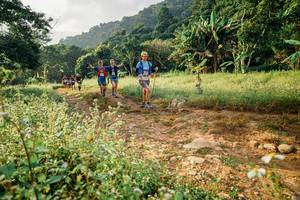 BIB: 
                            <button type="button" onclick="openModal(26029736)" class="btn btn-primary btn-sm float-right btn-popup" data-toggle="modal" data-target=".modal-high-quality">
                        <i class="fas fa-shopping-cart"></i> Add to Cart
                    </button>
                                            <button type="button" onclick="isThisMe(26029736, true)" class="btn btn-success btn-sm float-right btn-popup btn-isme hidden" data-toggle="tooltip" data-placement="bottom" title="นี่คือรูปของคุณใช่ไหม คลิกที่นี่เพื่อเอาเข้าอัลบั้ม">
                        <i class="fas fa-plus"></i> Add to album
                    </button>
                    <button type="button" onclick="isThisMe(26029736, false)" class="btn btn-warning btn-sm float-right btn-popup btn-isnotme hidden">
                        <i class="fas fa-ban"></i> Remove from album
                    </button>