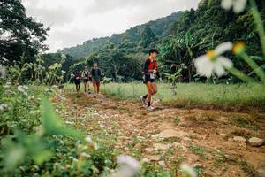 BIB: 
                            <button type="button" onclick="openModal(26030819)" class="btn btn-primary btn-sm float-right btn-popup" data-toggle="modal" data-target=".modal-high-quality">
                        <i class="fas fa-shopping-cart"></i> Add to Cart
                    </button>
                                            <button type="button" onclick="isThisMe(26030819, true)" class="btn btn-success btn-sm float-right btn-popup btn-isme hidden" data-toggle="tooltip" data-placement="bottom" title="นี่คือรูปของคุณใช่ไหม คลิกที่นี่เพื่อเอาเข้าอัลบั้ม">
                        <i class="fas fa-plus"></i> Add to album
                    </button>
                    <button type="button" onclick="isThisMe(26030819, false)" class="btn btn-warning btn-sm float-right btn-popup btn-isnotme hidden">
                        <i class="fas fa-ban"></i> Remove from album
                    </button>