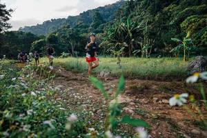 BIB: 
                            <button type="button" onclick="openModal(26009189)" class="btn btn-primary btn-sm float-right btn-popup" data-toggle="modal" data-target=".modal-high-quality">
                        <i class="fas fa-shopping-cart"></i> Add to Cart
                    </button>
                                            <button type="button" onclick="isThisMe(26009189, true)" class="btn btn-success btn-sm float-right btn-popup btn-isme hidden" data-toggle="tooltip" data-placement="bottom" title="นี่คือรูปของคุณใช่ไหม คลิกที่นี่เพื่อเอาเข้าอัลบั้ม">
                        <i class="fas fa-plus"></i> Add to album
                    </button>
                    <button type="button" onclick="isThisMe(26009189, false)" class="btn btn-warning btn-sm float-right btn-popup btn-isnotme hidden">
                        <i class="fas fa-ban"></i> Remove from album
                    </button>