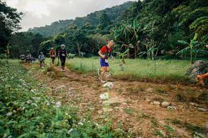 BIB: 
                            <button type="button" onclick="openModal(26030186)" class="btn btn-primary btn-sm float-right btn-popup" data-toggle="modal" data-target=".modal-high-quality">
                        <i class="fas fa-shopping-cart"></i> Add to Cart
                    </button>
                                            <button type="button" onclick="isThisMe(26030186, true)" class="btn btn-success btn-sm float-right btn-popup btn-isme hidden" data-toggle="tooltip" data-placement="bottom" title="นี่คือรูปของคุณใช่ไหม คลิกที่นี่เพื่อเอาเข้าอัลบั้ม">
                        <i class="fas fa-plus"></i> Add to album
                    </button>
                    <button type="button" onclick="isThisMe(26030186, false)" class="btn btn-warning btn-sm float-right btn-popup btn-isnotme hidden">
                        <i class="fas fa-ban"></i> Remove from album
                    </button>