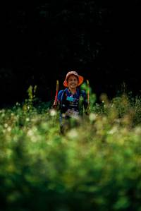 BIB: 
                            <button type="button" onclick="openModal(26016117)" class="btn btn-primary btn-sm float-right btn-popup" data-toggle="modal" data-target=".modal-high-quality">
                        <i class="fas fa-shopping-cart"></i> Add to Cart
                    </button>
                                            <button type="button" onclick="isThisMe(26016117, true)" class="btn btn-success btn-sm float-right btn-popup btn-isme hidden" data-toggle="tooltip" data-placement="bottom" title="นี่คือรูปของคุณใช่ไหม คลิกที่นี่เพื่อเอาเข้าอัลบั้ม">
                        <i class="fas fa-plus"></i> Add to album
                    </button>
                    <button type="button" onclick="isThisMe(26016117, false)" class="btn btn-warning btn-sm float-right btn-popup btn-isnotme hidden">
                        <i class="fas fa-ban"></i> Remove from album
                    </button>