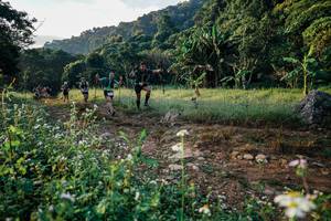 BIB: 
                            <button type="button" onclick="openModal(25993885)" class="btn btn-primary btn-sm float-right btn-popup" data-toggle="modal" data-target=".modal-high-quality">
                        <i class="fas fa-shopping-cart"></i> Add to Cart
                    </button>
                                            <button type="button" onclick="isThisMe(25993885, true)" class="btn btn-success btn-sm float-right btn-popup btn-isme hidden" data-toggle="tooltip" data-placement="bottom" title="นี่คือรูปของคุณใช่ไหม คลิกที่นี่เพื่อเอาเข้าอัลบั้ม">
                        <i class="fas fa-plus"></i> Add to album
                    </button>
                    <button type="button" onclick="isThisMe(25993885, false)" class="btn btn-warning btn-sm float-right btn-popup btn-isnotme hidden">
                        <i class="fas fa-ban"></i> Remove from album
                    </button>