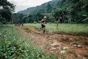 BIB: 
                            <button type="button" onclick="openModal(26028386)" class="btn btn-primary btn-sm float-right btn-popup" data-toggle="modal" data-target=".modal-high-quality">
                        <i class="fas fa-shopping-cart"></i> Add to Cart
                    </button>
                                            <button type="button" onclick="isThisMe(26028386, true)" class="btn btn-success btn-sm float-right btn-popup btn-isme hidden" data-toggle="tooltip" data-placement="bottom" title="นี่คือรูปของคุณใช่ไหม คลิกที่นี่เพื่อเอาเข้าอัลบั้ม">
                        <i class="fas fa-plus"></i> Add to album
                    </button>
                    <button type="button" onclick="isThisMe(26028386, false)" class="btn btn-warning btn-sm float-right btn-popup btn-isnotme hidden">
                        <i class="fas fa-ban"></i> Remove from album
                    </button>