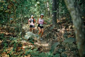 BIB: 
                            <button type="button" onclick="openModal(26118194)" class="btn btn-primary btn-sm float-right btn-popup" data-toggle="modal" data-target=".modal-high-quality">
                        <i class="fas fa-shopping-cart"></i> Add to Cart
                    </button>
                                            <button type="button" onclick="isThisMe(26118194, true)" class="btn btn-success btn-sm float-right btn-popup btn-isme hidden" data-toggle="tooltip" data-placement="bottom" title="นี่คือรูปของคุณใช่ไหม คลิกที่นี่เพื่อเอาเข้าอัลบั้ม">
                        <i class="fas fa-plus"></i> Add to album
                    </button>
                    <button type="button" onclick="isThisMe(26118194, false)" class="btn btn-warning btn-sm float-right btn-popup btn-isnotme hidden">
                        <i class="fas fa-ban"></i> Remove from album
                    </button>