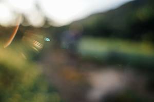 BIB: 
                            <button type="button" onclick="openModal(25884607)" class="btn btn-primary btn-sm float-right btn-popup" data-toggle="modal" data-target=".modal-high-quality">
                        <i class="fas fa-shopping-cart"></i> Add to Cart
                    </button>
                                            <button type="button" onclick="isThisMe(25884607, true)" class="btn btn-success btn-sm float-right btn-popup btn-isme hidden" data-toggle="tooltip" data-placement="bottom" title="นี่คือรูปของคุณใช่ไหม คลิกที่นี่เพื่อเอาเข้าอัลบั้ม">
                        <i class="fas fa-plus"></i> Add to album
                    </button>
                    <button type="button" onclick="isThisMe(25884607, false)" class="btn btn-warning btn-sm float-right btn-popup btn-isnotme hidden">
                        <i class="fas fa-ban"></i> Remove from album
                    </button>