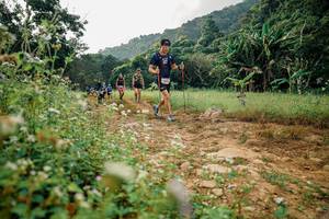 BIB: 
                            <button type="button" onclick="openModal(26033671)" class="btn btn-primary btn-sm float-right btn-popup" data-toggle="modal" data-target=".modal-high-quality">
                        <i class="fas fa-shopping-cart"></i> Add to Cart
                    </button>
                                            <button type="button" onclick="isThisMe(26033671, true)" class="btn btn-success btn-sm float-right btn-popup btn-isme hidden" data-toggle="tooltip" data-placement="bottom" title="นี่คือรูปของคุณใช่ไหม คลิกที่นี่เพื่อเอาเข้าอัลบั้ม">
                        <i class="fas fa-plus"></i> Add to album
                    </button>
                    <button type="button" onclick="isThisMe(26033671, false)" class="btn btn-warning btn-sm float-right btn-popup btn-isnotme hidden">
                        <i class="fas fa-ban"></i> Remove from album
                    </button>