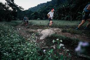 BIB: 
                            <button type="button" onclick="openModal(25778108)" class="btn btn-primary btn-sm float-right btn-popup" data-toggle="modal" data-target=".modal-high-quality">
                        <i class="fas fa-shopping-cart"></i> Add to Cart
                    </button>
                                            <button type="button" onclick="isThisMe(25778108, true)" class="btn btn-success btn-sm float-right btn-popup btn-isme hidden" data-toggle="tooltip" data-placement="bottom" title="นี่คือรูปของคุณใช่ไหม คลิกที่นี่เพื่อเอาเข้าอัลบั้ม">
                        <i class="fas fa-plus"></i> Add to album
                    </button>
                    <button type="button" onclick="isThisMe(25778108, false)" class="btn btn-warning btn-sm float-right btn-popup btn-isnotme hidden">
                        <i class="fas fa-ban"></i> Remove from album
                    </button>