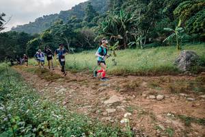 BIB: 
                            <button type="button" onclick="openModal(26028781)" class="btn btn-primary btn-sm float-right btn-popup" data-toggle="modal" data-target=".modal-high-quality">
                        <i class="fas fa-shopping-cart"></i> Add to Cart
                    </button>
                                            <button type="button" onclick="isThisMe(26028781, true)" class="btn btn-success btn-sm float-right btn-popup btn-isme hidden" data-toggle="tooltip" data-placement="bottom" title="นี่คือรูปของคุณใช่ไหม คลิกที่นี่เพื่อเอาเข้าอัลบั้ม">
                        <i class="fas fa-plus"></i> Add to album
                    </button>
                    <button type="button" onclick="isThisMe(26028781, false)" class="btn btn-warning btn-sm float-right btn-popup btn-isnotme hidden">
                        <i class="fas fa-ban"></i> Remove from album
                    </button>