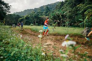 BIB: 
                            <button type="button" onclick="openModal(26030014)" class="btn btn-primary btn-sm float-right btn-popup" data-toggle="modal" data-target=".modal-high-quality">
                        <i class="fas fa-shopping-cart"></i> Add to Cart
                    </button>
                                            <button type="button" onclick="isThisMe(26030014, true)" class="btn btn-success btn-sm float-right btn-popup btn-isme hidden" data-toggle="tooltip" data-placement="bottom" title="นี่คือรูปของคุณใช่ไหม คลิกที่นี่เพื่อเอาเข้าอัลบั้ม">
                        <i class="fas fa-plus"></i> Add to album
                    </button>
                    <button type="button" onclick="isThisMe(26030014, false)" class="btn btn-warning btn-sm float-right btn-popup btn-isnotme hidden">
                        <i class="fas fa-ban"></i> Remove from album
                    </button>