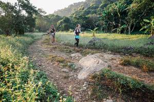 BIB: 
                            <button type="button" onclick="openModal(25895245)" class="btn btn-primary btn-sm float-right btn-popup" data-toggle="modal" data-target=".modal-high-quality">
                        <i class="fas fa-shopping-cart"></i> Add to Cart
                    </button>
                                            <button type="button" onclick="isThisMe(25895245, true)" class="btn btn-success btn-sm float-right btn-popup btn-isme hidden" data-toggle="tooltip" data-placement="bottom" title="นี่คือรูปของคุณใช่ไหม คลิกที่นี่เพื่อเอาเข้าอัลบั้ม">
                        <i class="fas fa-plus"></i> Add to album
                    </button>
                    <button type="button" onclick="isThisMe(25895245, false)" class="btn btn-warning btn-sm float-right btn-popup btn-isnotme hidden">
                        <i class="fas fa-ban"></i> Remove from album
                    </button>