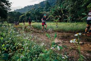 BIB: 
                            <button type="button" onclick="openModal(26009184)" class="btn btn-primary btn-sm float-right btn-popup" data-toggle="modal" data-target=".modal-high-quality">
                        <i class="fas fa-shopping-cart"></i> Add to Cart
                    </button>
                                            <button type="button" onclick="isThisMe(26009184, true)" class="btn btn-success btn-sm float-right btn-popup btn-isme hidden" data-toggle="tooltip" data-placement="bottom" title="นี่คือรูปของคุณใช่ไหม คลิกที่นี่เพื่อเอาเข้าอัลบั้ม">
                        <i class="fas fa-plus"></i> Add to album
                    </button>
                    <button type="button" onclick="isThisMe(26009184, false)" class="btn btn-warning btn-sm float-right btn-popup btn-isnotme hidden">
                        <i class="fas fa-ban"></i> Remove from album
                    </button>