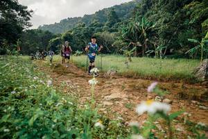 BIB: 
                            <button type="button" onclick="openModal(26030025)" class="btn btn-primary btn-sm float-right btn-popup" data-toggle="modal" data-target=".modal-high-quality">
                        <i class="fas fa-shopping-cart"></i> Add to Cart
                    </button>
                                            <button type="button" onclick="isThisMe(26030025, true)" class="btn btn-success btn-sm float-right btn-popup btn-isme hidden" data-toggle="tooltip" data-placement="bottom" title="นี่คือรูปของคุณใช่ไหม คลิกที่นี่เพื่อเอาเข้าอัลบั้ม">
                        <i class="fas fa-plus"></i> Add to album
                    </button>
                    <button type="button" onclick="isThisMe(26030025, false)" class="btn btn-warning btn-sm float-right btn-popup btn-isnotme hidden">
                        <i class="fas fa-ban"></i> Remove from album
                    </button>