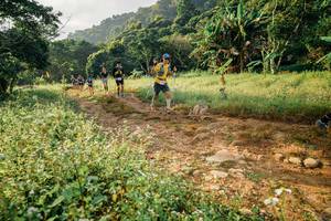 BIB: 
                            <button type="button" onclick="openModal(26029664)" class="btn btn-primary btn-sm float-right btn-popup" data-toggle="modal" data-target=".modal-high-quality">
                        <i class="fas fa-shopping-cart"></i> Add to Cart
                    </button>
                                            <button type="button" onclick="isThisMe(26029664, true)" class="btn btn-success btn-sm float-right btn-popup btn-isme hidden" data-toggle="tooltip" data-placement="bottom" title="นี่คือรูปของคุณใช่ไหม คลิกที่นี่เพื่อเอาเข้าอัลบั้ม">
                        <i class="fas fa-plus"></i> Add to album
                    </button>
                    <button type="button" onclick="isThisMe(26029664, false)" class="btn btn-warning btn-sm float-right btn-popup btn-isnotme hidden">
                        <i class="fas fa-ban"></i> Remove from album
                    </button>