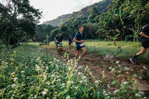 BIB: 
                            <button type="button" onclick="openModal(26008955)" class="btn btn-primary btn-sm float-right btn-popup" data-toggle="modal" data-target=".modal-high-quality">
                        <i class="fas fa-shopping-cart"></i> Add to Cart
                    </button>
                                            <button type="button" onclick="isThisMe(26008955, true)" class="btn btn-success btn-sm float-right btn-popup btn-isme hidden" data-toggle="tooltip" data-placement="bottom" title="นี่คือรูปของคุณใช่ไหม คลิกที่นี่เพื่อเอาเข้าอัลบั้ม">
                        <i class="fas fa-plus"></i> Add to album
                    </button>
                    <button type="button" onclick="isThisMe(26008955, false)" class="btn btn-warning btn-sm float-right btn-popup btn-isnotme hidden">
                        <i class="fas fa-ban"></i> Remove from album
                    </button>