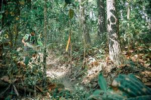 BIB: 
                            <button type="button" onclick="openModal(26126883)" class="btn btn-primary btn-sm float-right btn-popup" data-toggle="modal" data-target=".modal-high-quality">
                        <i class="fas fa-shopping-cart"></i> Add to Cart
                    </button>
                                            <button type="button" onclick="isThisMe(26126883, true)" class="btn btn-success btn-sm float-right btn-popup btn-isme hidden" data-toggle="tooltip" data-placement="bottom" title="นี่คือรูปของคุณใช่ไหม คลิกที่นี่เพื่อเอาเข้าอัลบั้ม">
                        <i class="fas fa-plus"></i> Add to album
                    </button>
                    <button type="button" onclick="isThisMe(26126883, false)" class="btn btn-warning btn-sm float-right btn-popup btn-isnotme hidden">
                        <i class="fas fa-ban"></i> Remove from album
                    </button>