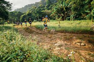 BIB: 
                            <button type="button" onclick="openModal(26029668)" class="btn btn-primary btn-sm float-right btn-popup" data-toggle="modal" data-target=".modal-high-quality">
                        <i class="fas fa-shopping-cart"></i> Add to Cart
                    </button>
                                            <button type="button" onclick="isThisMe(26029668, true)" class="btn btn-success btn-sm float-right btn-popup btn-isme hidden" data-toggle="tooltip" data-placement="bottom" title="นี่คือรูปของคุณใช่ไหม คลิกที่นี่เพื่อเอาเข้าอัลบั้ม">
                        <i class="fas fa-plus"></i> Add to album
                    </button>
                    <button type="button" onclick="isThisMe(26029668, false)" class="btn btn-warning btn-sm float-right btn-popup btn-isnotme hidden">
                        <i class="fas fa-ban"></i> Remove from album
                    </button>