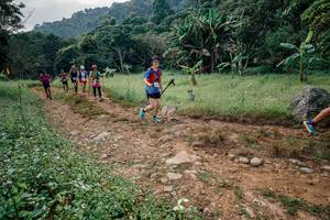 BIB: 
                            <button type="button" onclick="openModal(26028305)" class="btn btn-primary btn-sm float-right btn-popup" data-toggle="modal" data-target=".modal-high-quality">
                        <i class="fas fa-shopping-cart"></i> Add to Cart
                    </button>
                                            <button type="button" onclick="isThisMe(26028305, true)" class="btn btn-success btn-sm float-right btn-popup btn-isme hidden" data-toggle="tooltip" data-placement="bottom" title="นี่คือรูปของคุณใช่ไหม คลิกที่นี่เพื่อเอาเข้าอัลบั้ม">
                        <i class="fas fa-plus"></i> Add to album
                    </button>
                    <button type="button" onclick="isThisMe(26028305, false)" class="btn btn-warning btn-sm float-right btn-popup btn-isnotme hidden">
                        <i class="fas fa-ban"></i> Remove from album
                    </button>