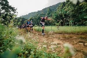 BIB: 
                            <button type="button" onclick="openModal(26067960)" class="btn btn-primary btn-sm float-right btn-popup" data-toggle="modal" data-target=".modal-high-quality">
                        <i class="fas fa-shopping-cart"></i> Add to Cart
                    </button>
                                            <button type="button" onclick="isThisMe(26067960, true)" class="btn btn-success btn-sm float-right btn-popup btn-isme hidden" data-toggle="tooltip" data-placement="bottom" title="นี่คือรูปของคุณใช่ไหม คลิกที่นี่เพื่อเอาเข้าอัลบั้ม">
                        <i class="fas fa-plus"></i> Add to album
                    </button>
                    <button type="button" onclick="isThisMe(26067960, false)" class="btn btn-warning btn-sm float-right btn-popup btn-isnotme hidden">
                        <i class="fas fa-ban"></i> Remove from album
                    </button>