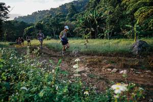 BIB: 
                            <button type="button" onclick="openModal(25994093)" class="btn btn-primary btn-sm float-right btn-popup" data-toggle="modal" data-target=".modal-high-quality">
                        <i class="fas fa-shopping-cart"></i> Add to Cart
                    </button>
                                            <button type="button" onclick="isThisMe(25994093, true)" class="btn btn-success btn-sm float-right btn-popup btn-isme hidden" data-toggle="tooltip" data-placement="bottom" title="นี่คือรูปของคุณใช่ไหม คลิกที่นี่เพื่อเอาเข้าอัลบั้ม">
                        <i class="fas fa-plus"></i> Add to album
                    </button>
                    <button type="button" onclick="isThisMe(25994093, false)" class="btn btn-warning btn-sm float-right btn-popup btn-isnotme hidden">
                        <i class="fas fa-ban"></i> Remove from album
                    </button>