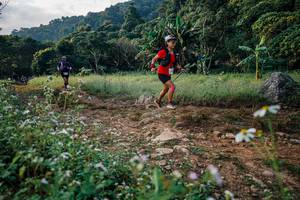 BIB: 
                            <button type="button" onclick="openModal(26009644)" class="btn btn-primary btn-sm float-right btn-popup" data-toggle="modal" data-target=".modal-high-quality">
                        <i class="fas fa-shopping-cart"></i> Add to Cart
                    </button>
                                            <button type="button" onclick="isThisMe(26009644, true)" class="btn btn-success btn-sm float-right btn-popup btn-isme hidden" data-toggle="tooltip" data-placement="bottom" title="นี่คือรูปของคุณใช่ไหม คลิกที่นี่เพื่อเอาเข้าอัลบั้ม">
                        <i class="fas fa-plus"></i> Add to album
                    </button>
                    <button type="button" onclick="isThisMe(26009644, false)" class="btn btn-warning btn-sm float-right btn-popup btn-isnotme hidden">
                        <i class="fas fa-ban"></i> Remove from album
                    </button>