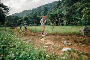 BIB: 
                            <button type="button" onclick="openModal(26030140)" class="btn btn-primary btn-sm float-right btn-popup" data-toggle="modal" data-target=".modal-high-quality">
                        <i class="fas fa-shopping-cart"></i> Add to Cart
                    </button>
                                            <button type="button" onclick="isThisMe(26030140, true)" class="btn btn-success btn-sm float-right btn-popup btn-isme hidden" data-toggle="tooltip" data-placement="bottom" title="นี่คือรูปของคุณใช่ไหม คลิกที่นี่เพื่อเอาเข้าอัลบั้ม">
                        <i class="fas fa-plus"></i> Add to album
                    </button>
                    <button type="button" onclick="isThisMe(26030140, false)" class="btn btn-warning btn-sm float-right btn-popup btn-isnotme hidden">
                        <i class="fas fa-ban"></i> Remove from album
                    </button>