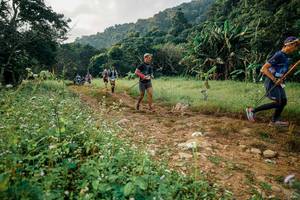 BIB: 
                            <button type="button" onclick="openModal(26029879)" class="btn btn-primary btn-sm float-right btn-popup" data-toggle="modal" data-target=".modal-high-quality">
                        <i class="fas fa-shopping-cart"></i> Add to Cart
                    </button>
                                            <button type="button" onclick="isThisMe(26029879, true)" class="btn btn-success btn-sm float-right btn-popup btn-isme hidden" data-toggle="tooltip" data-placement="bottom" title="นี่คือรูปของคุณใช่ไหม คลิกที่นี่เพื่อเอาเข้าอัลบั้ม">
                        <i class="fas fa-plus"></i> Add to album
                    </button>
                    <button type="button" onclick="isThisMe(26029879, false)" class="btn btn-warning btn-sm float-right btn-popup btn-isnotme hidden">
                        <i class="fas fa-ban"></i> Remove from album
                    </button>