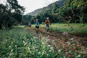 BIB: 
                            <button type="button" onclick="openModal(26008977)" class="btn btn-primary btn-sm float-right btn-popup" data-toggle="modal" data-target=".modal-high-quality">
                        <i class="fas fa-shopping-cart"></i> Add to Cart
                    </button>
                                            <button type="button" onclick="isThisMe(26008977, true)" class="btn btn-success btn-sm float-right btn-popup btn-isme hidden" data-toggle="tooltip" data-placement="bottom" title="นี่คือรูปของคุณใช่ไหม คลิกที่นี่เพื่อเอาเข้าอัลบั้ม">
                        <i class="fas fa-plus"></i> Add to album
                    </button>
                    <button type="button" onclick="isThisMe(26008977, false)" class="btn btn-warning btn-sm float-right btn-popup btn-isnotme hidden">
                        <i class="fas fa-ban"></i> Remove from album
                    </button>