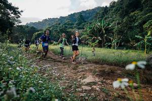 BIB: 
                            <button type="button" onclick="openModal(26009323)" class="btn btn-primary btn-sm float-right btn-popup" data-toggle="modal" data-target=".modal-high-quality">
                        <i class="fas fa-shopping-cart"></i> Add to Cart
                    </button>
                                            <button type="button" onclick="isThisMe(26009323, true)" class="btn btn-success btn-sm float-right btn-popup btn-isme hidden" data-toggle="tooltip" data-placement="bottom" title="นี่คือรูปของคุณใช่ไหม คลิกที่นี่เพื่อเอาเข้าอัลบั้ม">
                        <i class="fas fa-plus"></i> Add to album
                    </button>
                    <button type="button" onclick="isThisMe(26009323, false)" class="btn btn-warning btn-sm float-right btn-popup btn-isnotme hidden">
                        <i class="fas fa-ban"></i> Remove from album
                    </button>