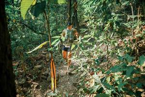 BIB: 
                            <button type="button" onclick="openModal(26118276)" class="btn btn-primary btn-sm float-right btn-popup" data-toggle="modal" data-target=".modal-high-quality">
                        <i class="fas fa-shopping-cart"></i> Add to Cart
                    </button>
                                            <button type="button" onclick="isThisMe(26118276, true)" class="btn btn-success btn-sm float-right btn-popup btn-isme hidden" data-toggle="tooltip" data-placement="bottom" title="นี่คือรูปของคุณใช่ไหม คลิกที่นี่เพื่อเอาเข้าอัลบั้ม">
                        <i class="fas fa-plus"></i> Add to album
                    </button>
                    <button type="button" onclick="isThisMe(26118276, false)" class="btn btn-warning btn-sm float-right btn-popup btn-isnotme hidden">
                        <i class="fas fa-ban"></i> Remove from album
                    </button>