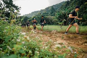 BIB: 
                            <button type="button" onclick="openModal(26033508)" class="btn btn-primary btn-sm float-right btn-popup" data-toggle="modal" data-target=".modal-high-quality">
                        <i class="fas fa-shopping-cart"></i> Add to Cart
                    </button>
                                            <button type="button" onclick="isThisMe(26033508, true)" class="btn btn-success btn-sm float-right btn-popup btn-isme hidden" data-toggle="tooltip" data-placement="bottom" title="นี่คือรูปของคุณใช่ไหม คลิกที่นี่เพื่อเอาเข้าอัลบั้ม">
                        <i class="fas fa-plus"></i> Add to album
                    </button>
                    <button type="button" onclick="isThisMe(26033508, false)" class="btn btn-warning btn-sm float-right btn-popup btn-isnotme hidden">
                        <i class="fas fa-ban"></i> Remove from album
                    </button>