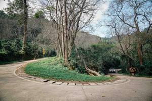 BIB: 
                            <button type="button" onclick="openModal(26045084)" class="btn btn-primary btn-sm float-right btn-popup" data-toggle="modal" data-target=".modal-high-quality">
                        <i class="fas fa-shopping-cart"></i> Add to Cart
                    </button>
                                            <button type="button" onclick="isThisMe(26045084, true)" class="btn btn-success btn-sm float-right btn-popup btn-isme hidden" data-toggle="tooltip" data-placement="bottom" title="นี่คือรูปของคุณใช่ไหม คลิกที่นี่เพื่อเอาเข้าอัลบั้ม">
                        <i class="fas fa-plus"></i> Add to album
                    </button>
                    <button type="button" onclick="isThisMe(26045084, false)" class="btn btn-warning btn-sm float-right btn-popup btn-isnotme hidden">
                        <i class="fas fa-ban"></i> Remove from album
                    </button>