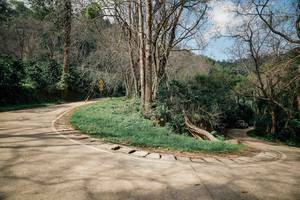 BIB: 
                            <button type="button" onclick="openModal(26044217)" class="btn btn-primary btn-sm float-right btn-popup" data-toggle="modal" data-target=".modal-high-quality">
                        <i class="fas fa-shopping-cart"></i> Add to Cart
                    </button>
                                            <button type="button" onclick="isThisMe(26044217, true)" class="btn btn-success btn-sm float-right btn-popup btn-isme hidden" data-toggle="tooltip" data-placement="bottom" title="นี่คือรูปของคุณใช่ไหม คลิกที่นี่เพื่อเอาเข้าอัลบั้ม">
                        <i class="fas fa-plus"></i> Add to album
                    </button>
                    <button type="button" onclick="isThisMe(26044217, false)" class="btn btn-warning btn-sm float-right btn-popup btn-isnotme hidden">
                        <i class="fas fa-ban"></i> Remove from album
                    </button>