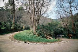 BIB: 
                            <button type="button" onclick="openModal(26045088)" class="btn btn-primary btn-sm float-right btn-popup" data-toggle="modal" data-target=".modal-high-quality">
                        <i class="fas fa-shopping-cart"></i> Add to Cart
                    </button>
                                            <button type="button" onclick="isThisMe(26045088, true)" class="btn btn-success btn-sm float-right btn-popup btn-isme hidden" data-toggle="tooltip" data-placement="bottom" title="นี่คือรูปของคุณใช่ไหม คลิกที่นี่เพื่อเอาเข้าอัลบั้ม">
                        <i class="fas fa-plus"></i> Add to album
                    </button>
                    <button type="button" onclick="isThisMe(26045088, false)" class="btn btn-warning btn-sm float-right btn-popup btn-isnotme hidden">
                        <i class="fas fa-ban"></i> Remove from album
                    </button>