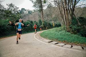 BIB: 
                            <button type="button" onclick="openModal(26064189)" class="btn btn-primary btn-sm float-right btn-popup" data-toggle="modal" data-target=".modal-high-quality">
                        <i class="fas fa-shopping-cart"></i> Add to Cart
                    </button>
                                            <button type="button" onclick="isThisMe(26064189, true)" class="btn btn-success btn-sm float-right btn-popup btn-isme hidden" data-toggle="tooltip" data-placement="bottom" title="นี่คือรูปของคุณใช่ไหม คลิกที่นี่เพื่อเอาเข้าอัลบั้ม">
                        <i class="fas fa-plus"></i> Add to album
                    </button>
                    <button type="button" onclick="isThisMe(26064189, false)" class="btn btn-warning btn-sm float-right btn-popup btn-isnotme hidden">
                        <i class="fas fa-ban"></i> Remove from album
                    </button>